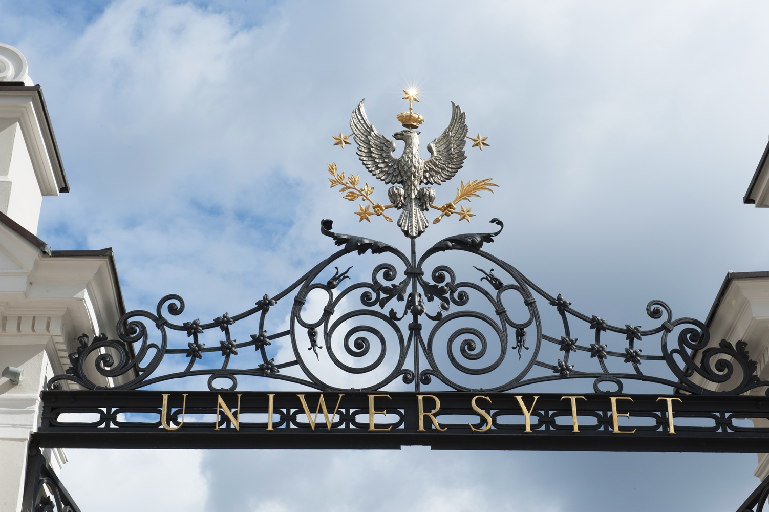 Źródło: Biuro Promocji UW